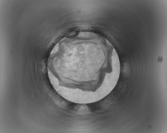 X0000110730715200907101429