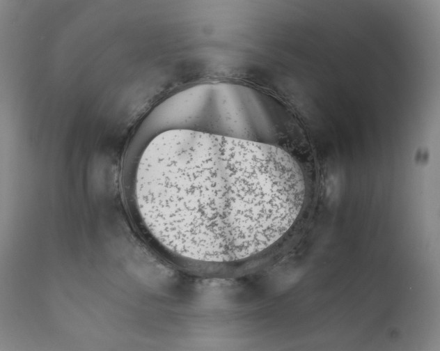 X0000110730716200907101429