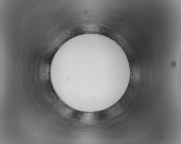 X0000110730717200907101429