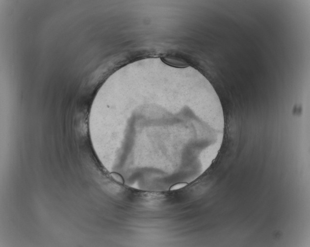 X0000110730719200907101429