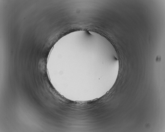 X0000110730720200907101429