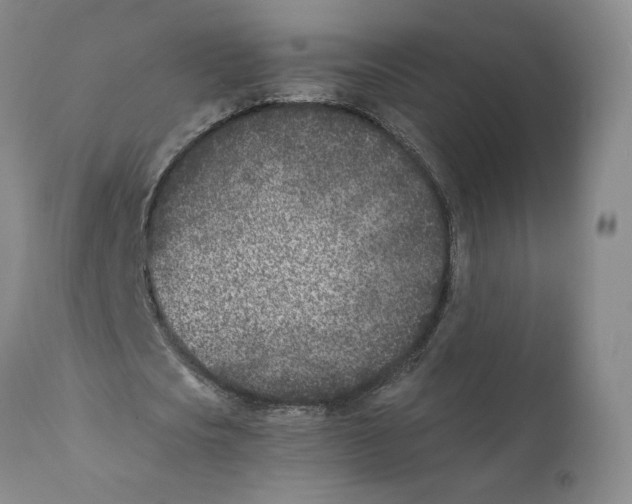 X0000110730721200907101428