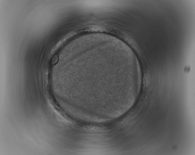 X0000110730722200907101428