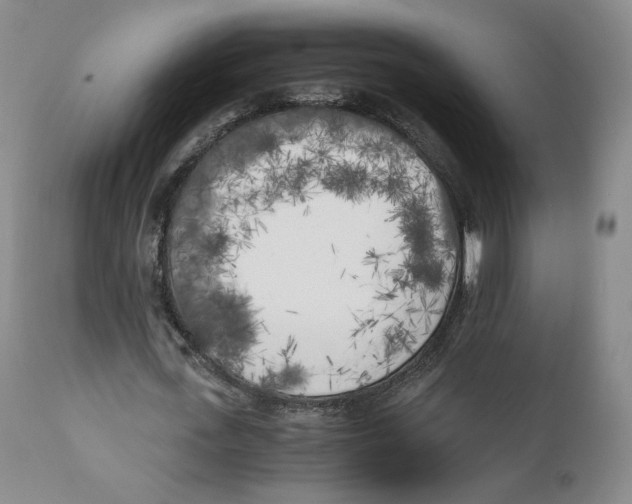 X0000110730723200907101428