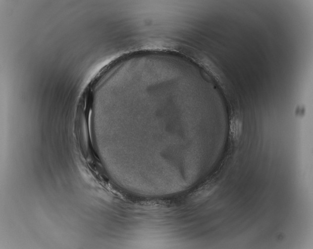 X0000110730724200907101428