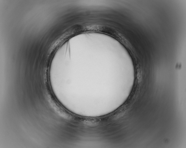 X0000110730725200907101428