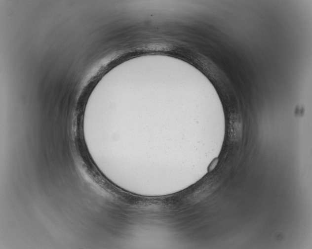 X0000110730726200907101428