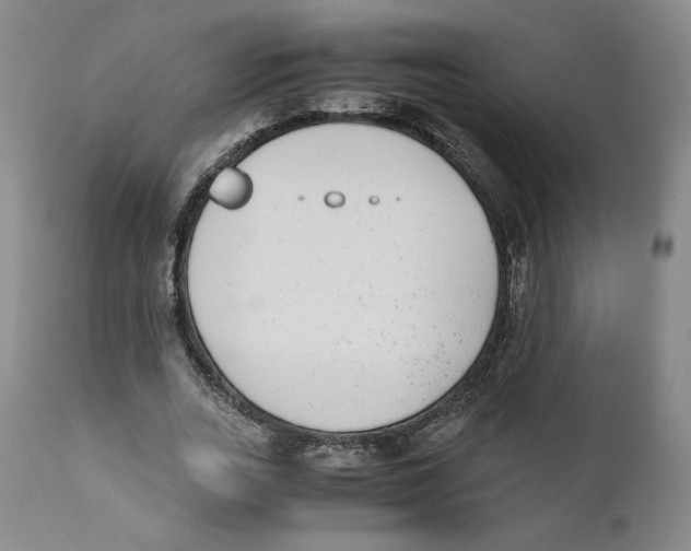 X0000110730727200907101428