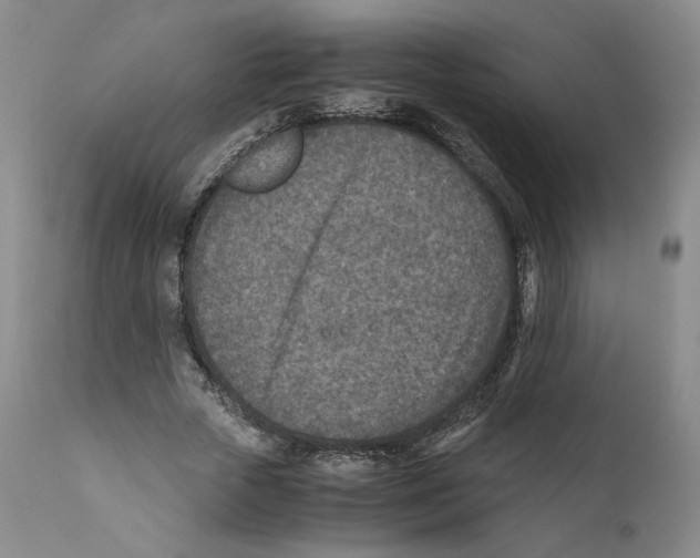 X0000110730729200907101428