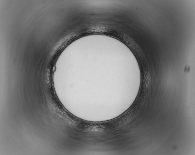 X0000110730731200907101428