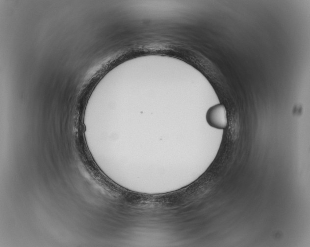 X0000110730732200907101428