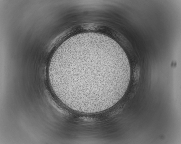 X0000110730733200907101428