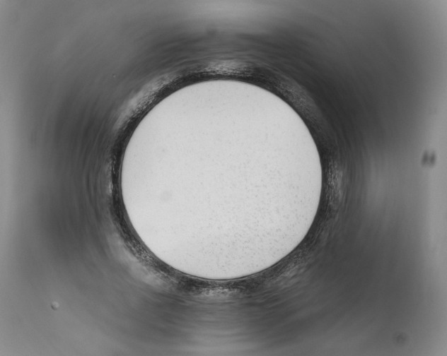 X0000110730734200907101428