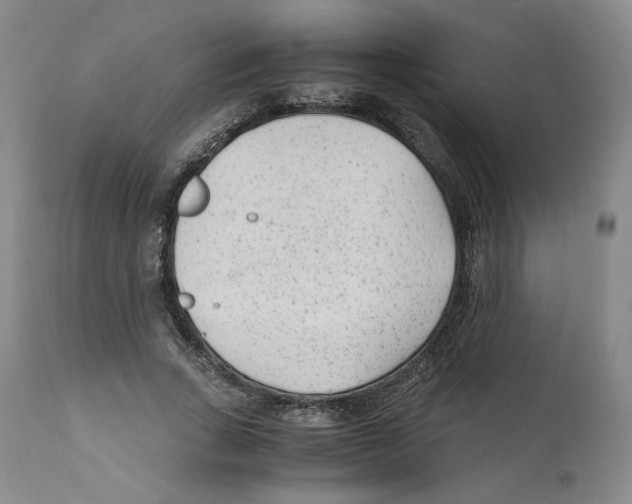 X0000110730735200907101428