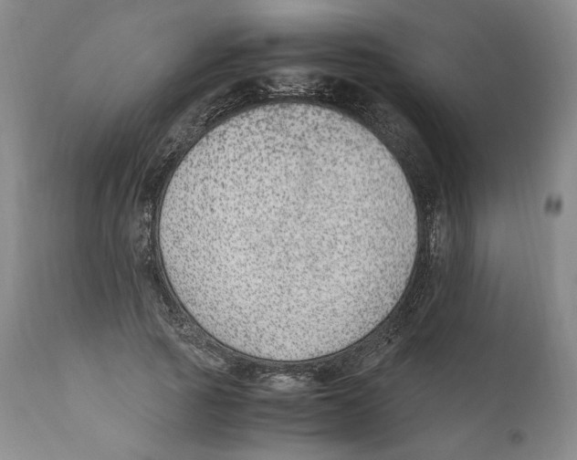 X0000110730737200907101428