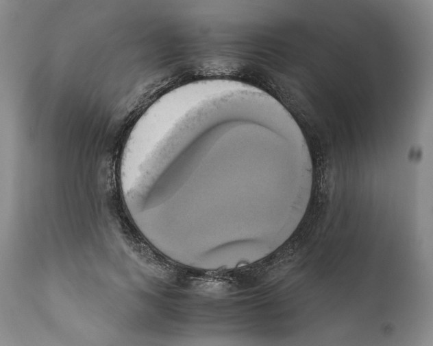 X0000110730743200907101428