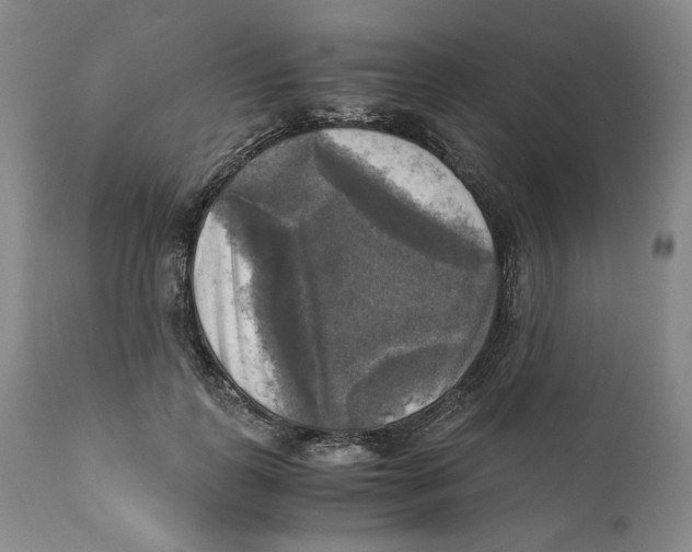 X0000110730747200907101428