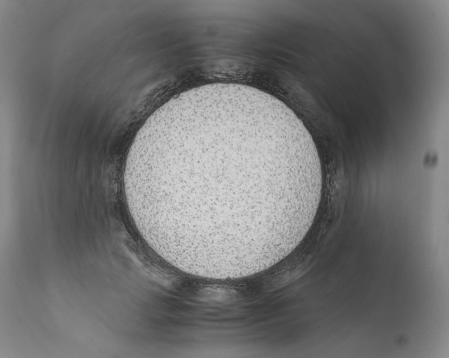 X0000110730749200907101428