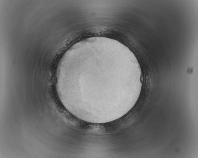 X0000110730750200907101428