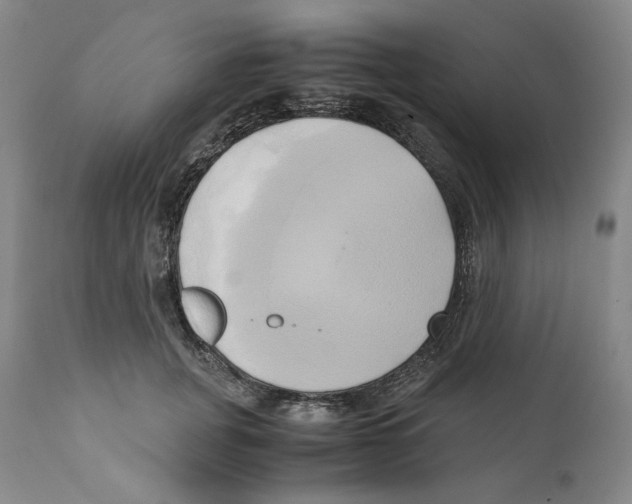 X0000110730751200907101428
