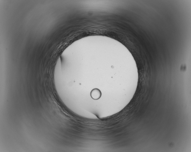 X0000110730752200907101428