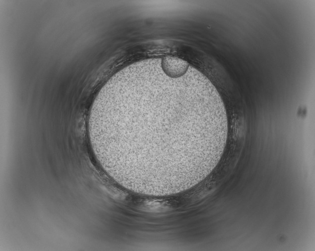 X0000110730753200907101428