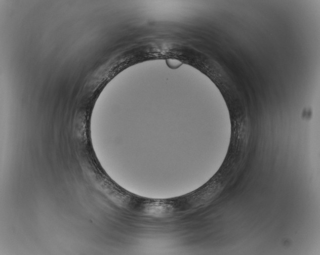 X0000110730754200907101428