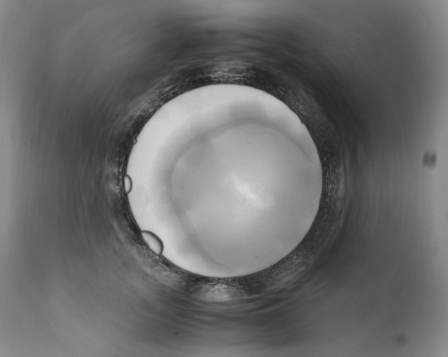 X0000110730755200907101428
