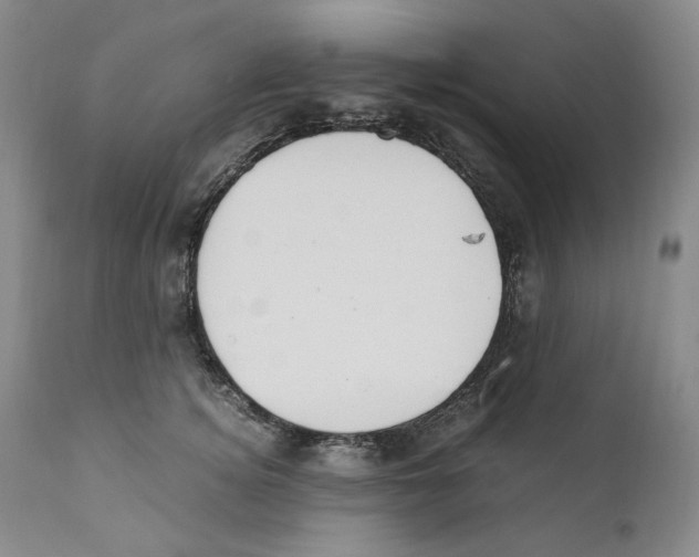 X0000110730756200907101428