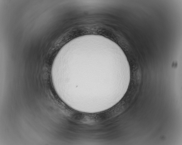 X0000110730757200907101428
