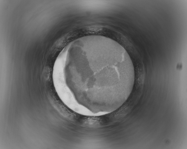 X0000110730758200907101428