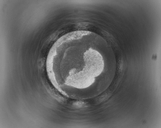 X0000110730759200907101428