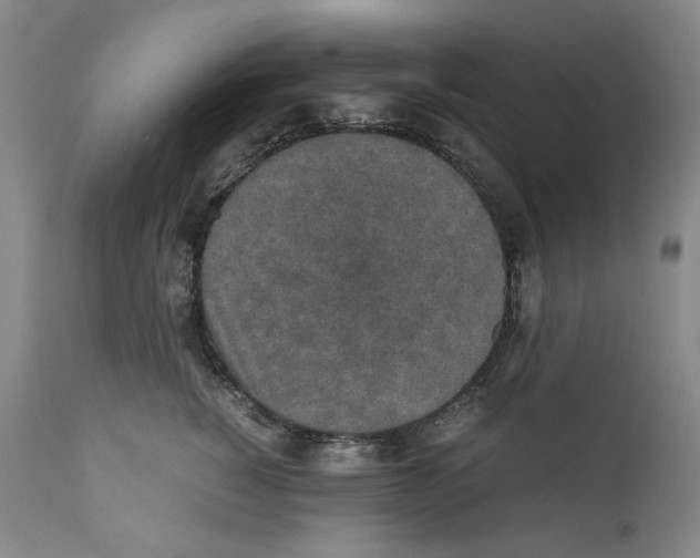 X0000110730760200907101428