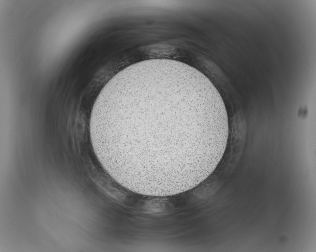 X0000110730761200907101428