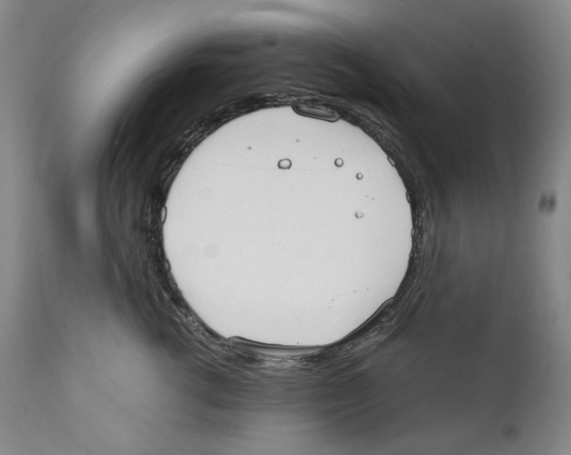 X0000110730762200907101428