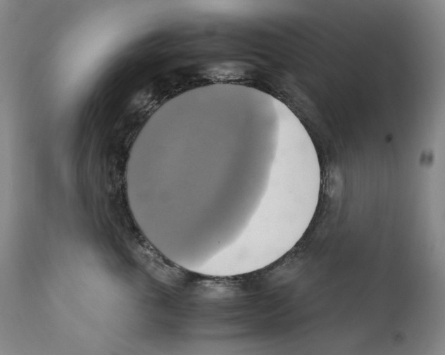 X0000110730763200907101429