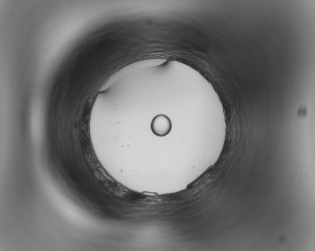 X0000110730764200907101429