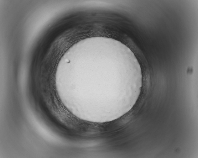 X0000110730765200907101429