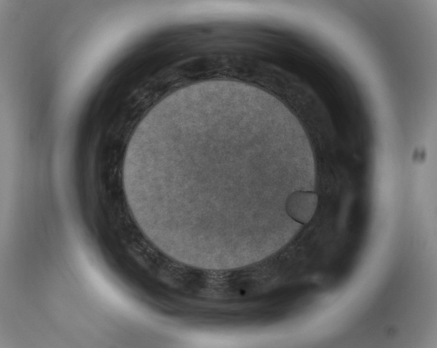 X0000110730766200907101429