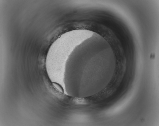 X0000110730767200907101429