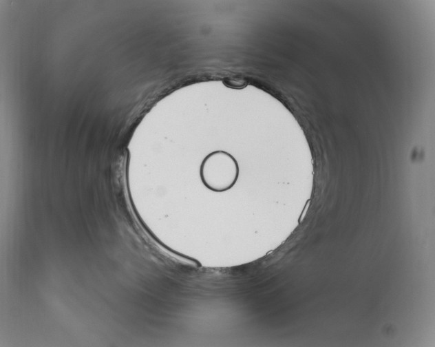 X0000110730768200907101429