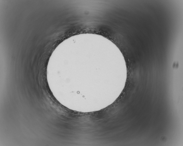 X0000110730769200907101428