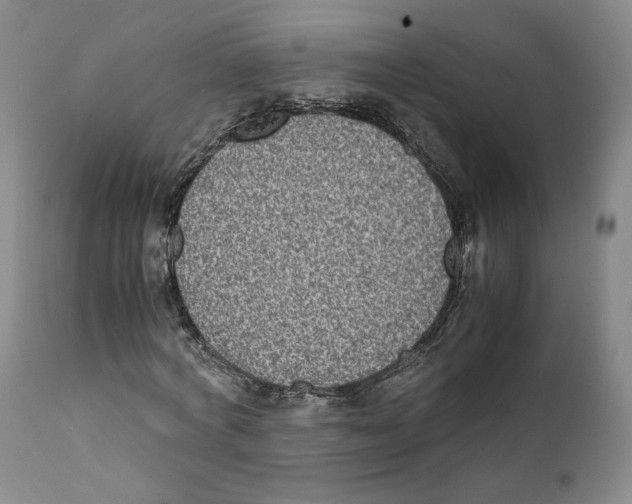 X0000110730772200907101428