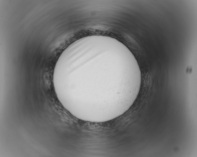 X0000110730774200907101428