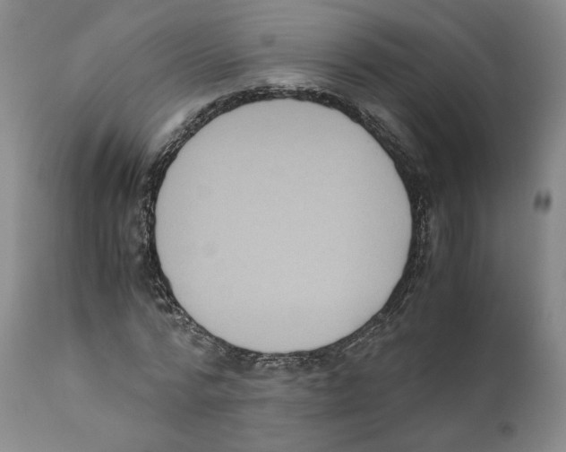 X0000110730776200907101427