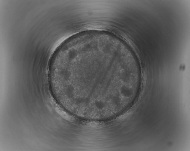 X0000110730779200907101427