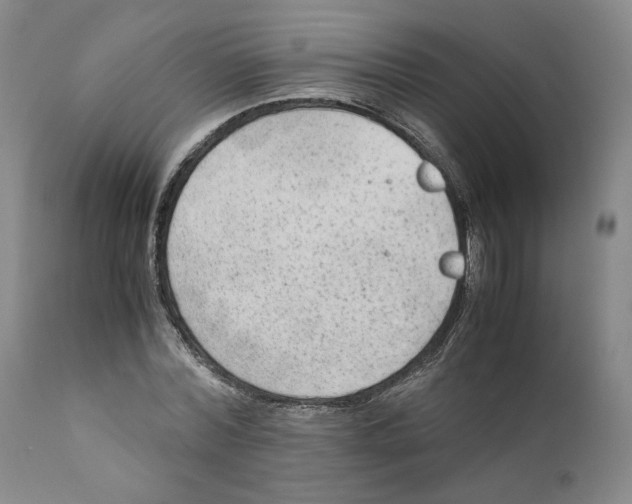 X0000110730780200907101427