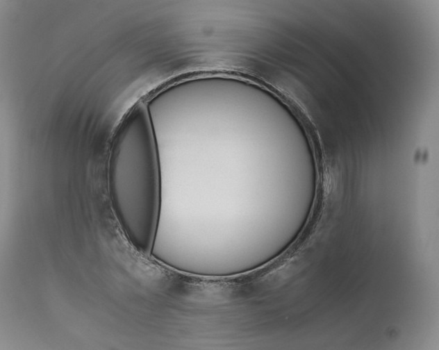 X0000110730781200907101427