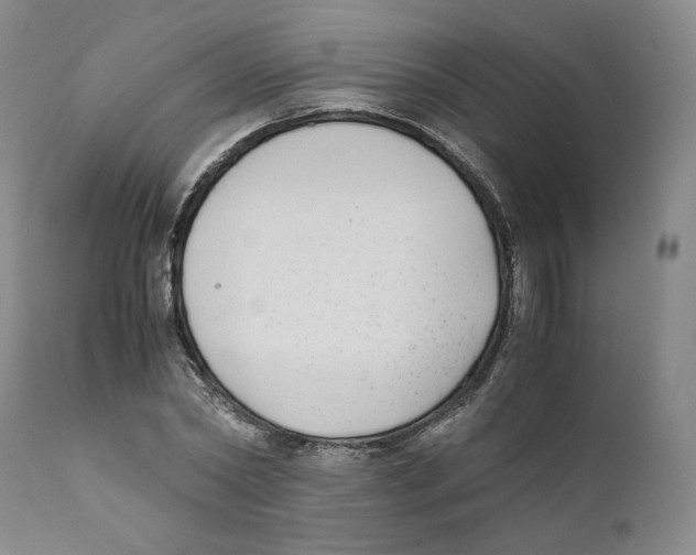 X0000110730782200907101427