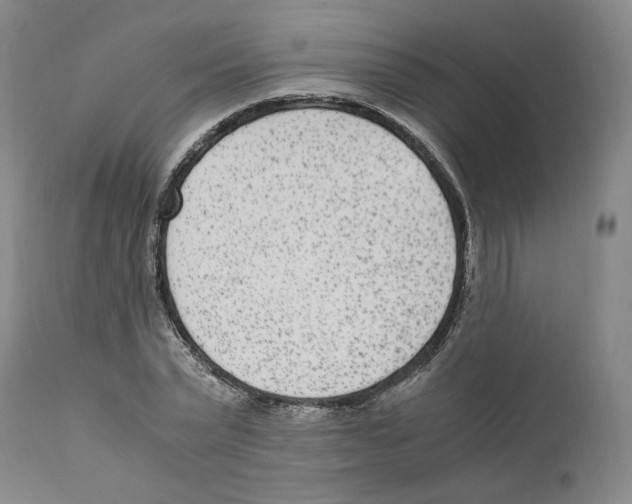 X0000110730783200907101427
